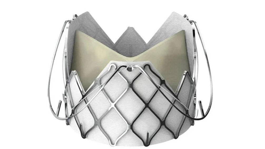 牛心包瓣类医用生物瓣膜厚度无损检测